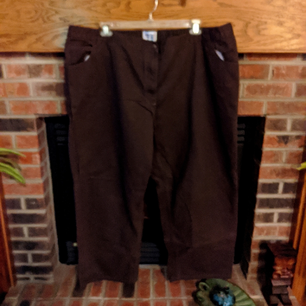 Main Street blues brand brown jeans plus size 30W